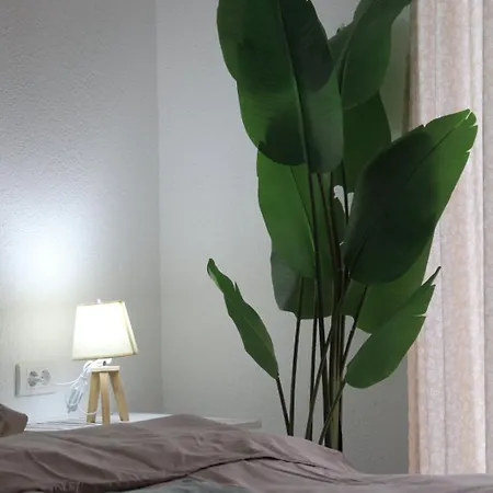 Apartment Anti-age